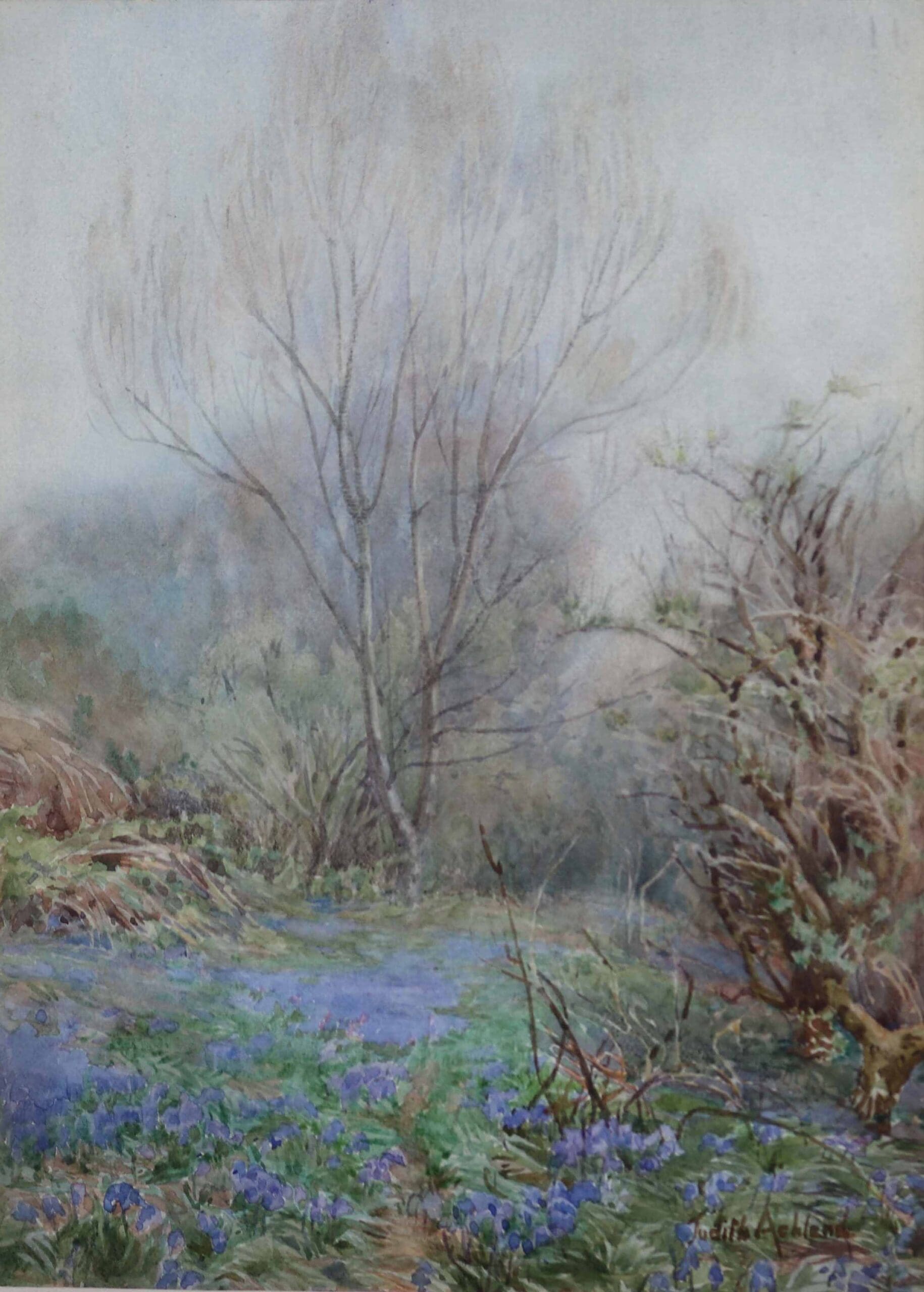 Watercolour of bluebells in woodland