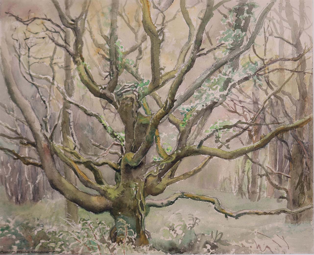 One of Mary Stella Edwards paintings of a bare tree in the woods