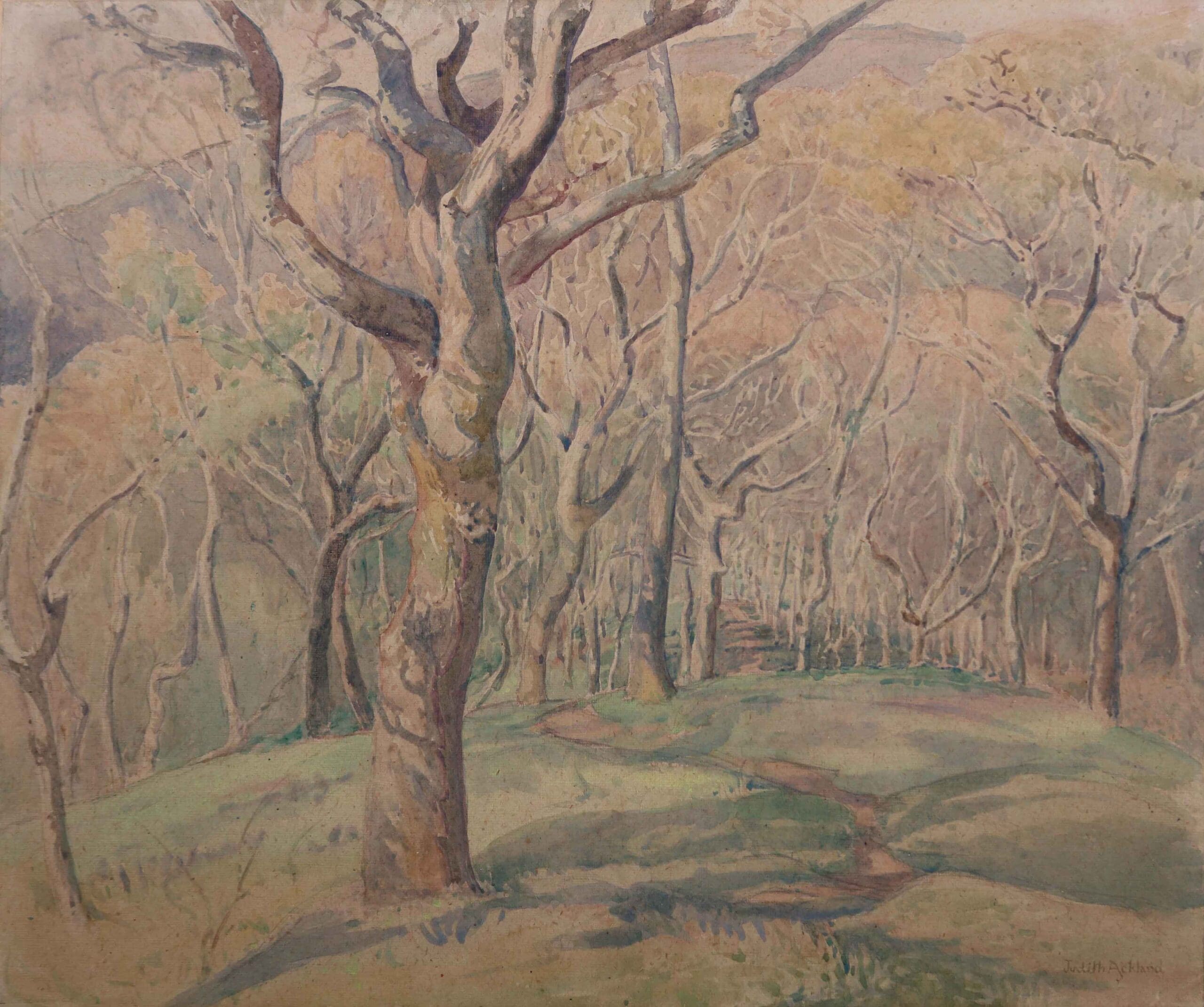 Judith Ackland's watercolour of woodland